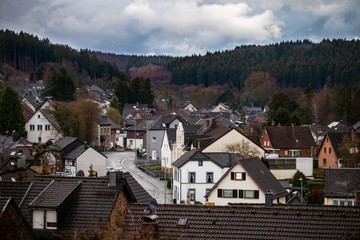 Fototapeta na wymiar view of small european town with forest in background