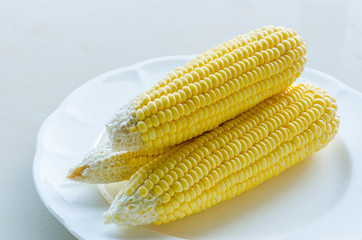 Fresh sweet corn on white plate, close up