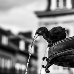 close up of small bird statues on old european fountain
