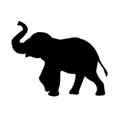 Elephant Silhouette on White Background
