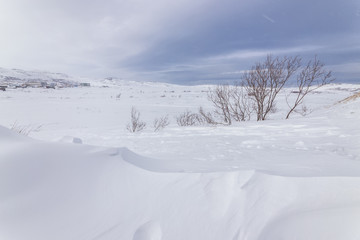 Fototapeta na wymiar Snow-covered tundra, the Kola Peninsula, Teriberka, Russia
