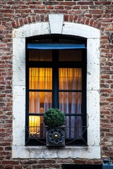 Fototapeta na wymiar cozy apartment window with drapes and small round plant