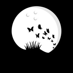 Butterfly in the Night