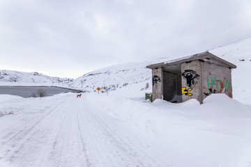 A bus stop covered in snow. A dog standing next to a bus stop