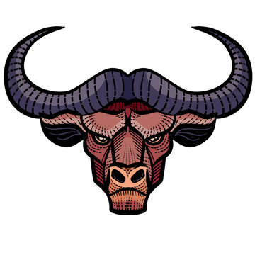 decorative bull head with patterns for logo, label, packaging, tattoo, isolated object on a white background,