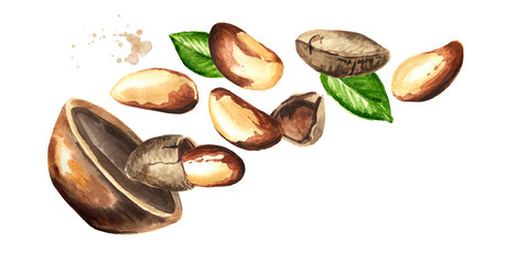 Bowl with Brazil nut, peeled and unpeeled, with green leaves. Hand drawn watercolor horizontal  illustration, isolated on white background