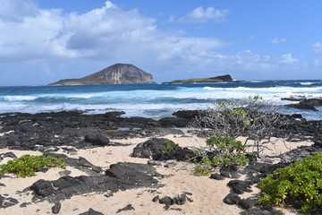 A beautiful beach in Hawaii