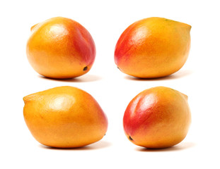 Mango on a white background
