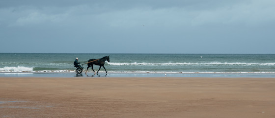 person riding a horse on the beach