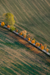 landscape in the autumn