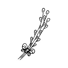 Hand drawn willow twigs on a white isolated background. Doodle, simple outline illustration. It can be used for decoration of textile, paper.