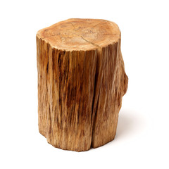 log isolated on a white background