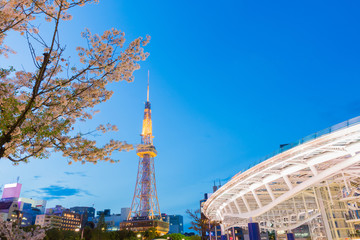 Nagoya tv tower in night with beautiful cherry blossom.