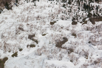 Tateyama Kurobe Alpine Route and Beautiful landscape