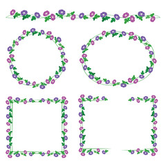 朝顔のフレーム　飾り罫