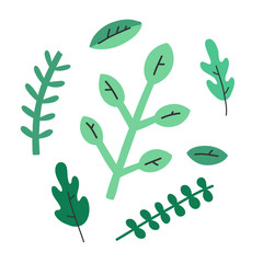 Cooking herbs, abstract doodle illustration, isolated vector drawing, culinary herbs. Flat cartoon