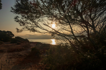 The coast of the renega at dawn in Oropesa