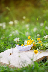Open book outdoor. Knowledge is power. Book in a spring summer forest or garden, yard, concept of studying, dreaming, rest time, romance relax, banner