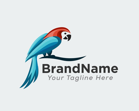 Colorful parrot art logo design inspiration