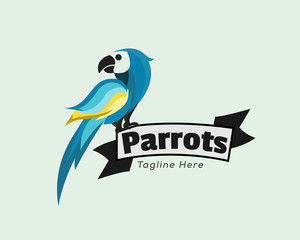 Colorful parrot sitting on banner logo design inspiration