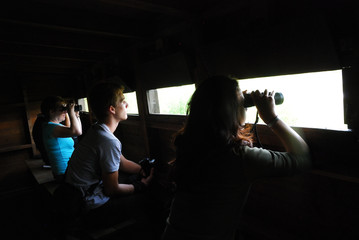 Bird watching near hide on nature reserve