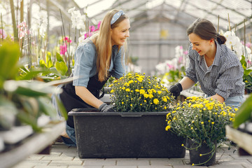 Women in a greenhouse. Lady working with a flowerpoots. Girl in a black apron.