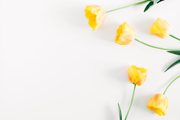 Beautiful composition of tulip, spring flowers. Yellow tulips flowers on white background....