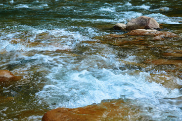 landscape, beautiful view of mountain river in summer day, fast flowing water and rocks, wild nature