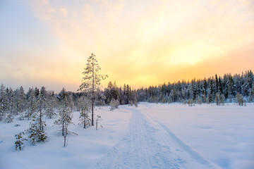 Fototapeta na wymiar Winter landscape. Winter road through a snow-covered forest