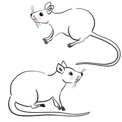 Cute Fancy rat Poses Cartoon Vector Illustration