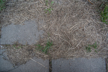Stone blocks covered with dry mowed grass on top