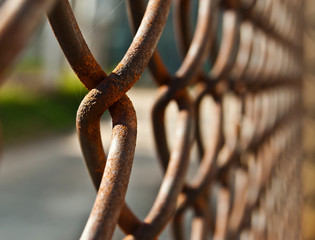 Rusty fence mesh
