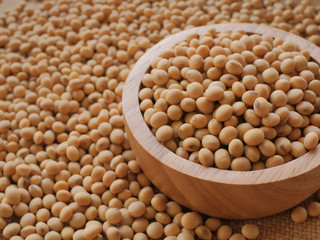 there are soybeans in the bowl