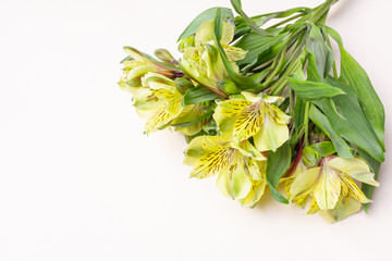 Bouquet of fresh alstroemeria flowers. The concept of spring, summer, women's day, holiday. Flat lay, top view, minimalism, copy space.