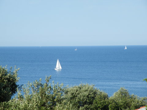 Seegelboote auf der Adria vor Kroatien