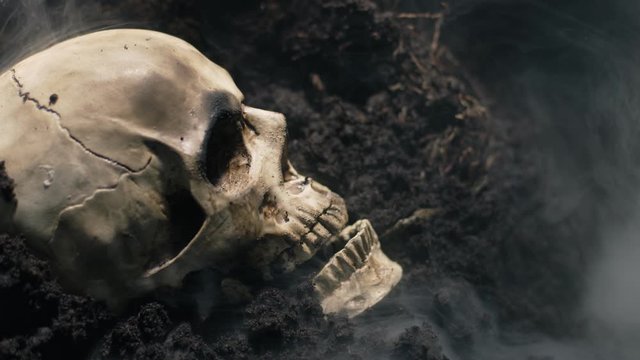 Human skull on the wet soild with smoke flowing