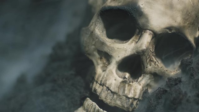 Human skull on the wet soild with smoke flowing