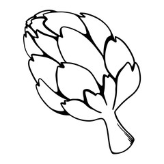 Single artichoke outline doodle cute digital art. Print for cards, banners, posters, textiles, restaurants, menus, packaging, wrapping paper, invitation cards, shops, coloring books.