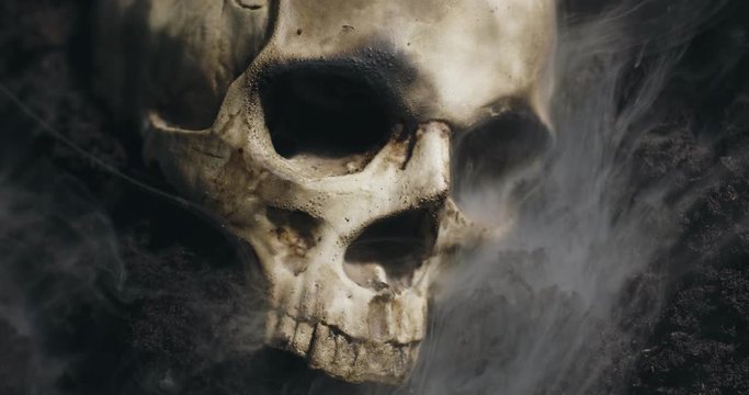 Human skull on the wet soild with smoke flowing