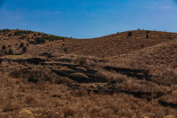 vacation, scenery, outdoor, summer, blue, beautiful, stone, scenic, tourism, background, mountain, hill, view, sky, travel, nature, landscape,cow, natural, wild, background, blue, meadow, mammal, brow