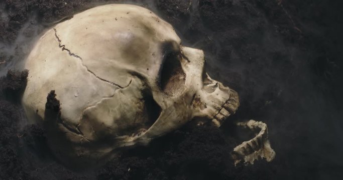 Human skull on the wet soild with smoke flowing