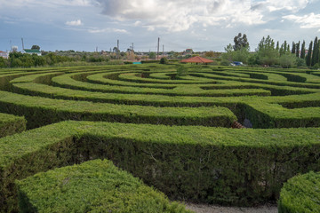 Maze garden