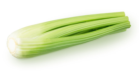 Fresh celery stalk isolated on a white background.