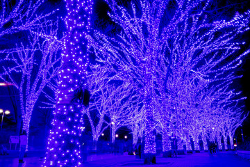 青の洞窟　渋谷　SHIBUYA　イルミネーション　illumination