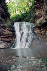 Wild forest waterfalls