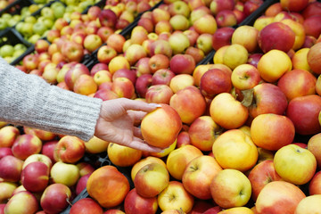Female hand choosing red fresh apples at market stall