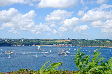 Fototapeta na wymiar A big sailing race of old sailing boats near Crozon in Brittany, France