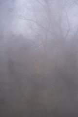 A foggy day