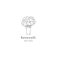 Isolated object, vegetables. Vector hand drawn broccoli. Healthy nutrition, vegetarians, vegans.