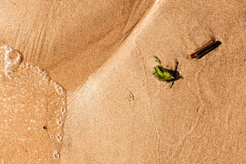 Sand close up. Sea shore